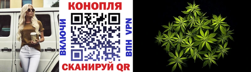 купить наркотики цена  Сельцо  Канабис MAZAR 